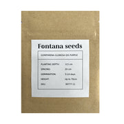 Gomphrena Purple Seed