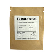 Organic Eggplant Seeds