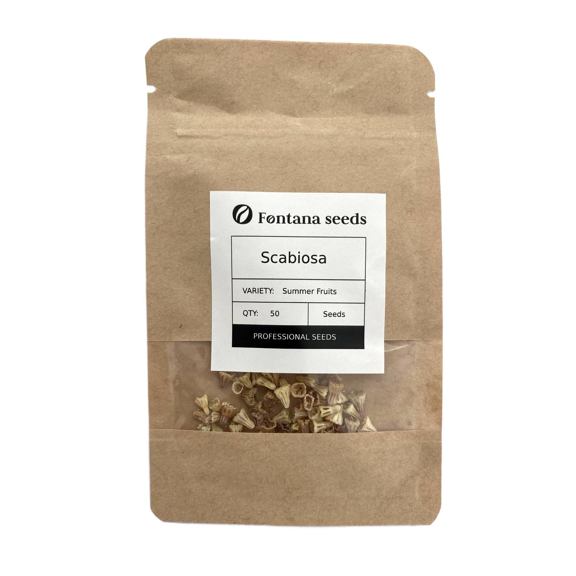 Scabiosa Flower Seed Summer Fruits