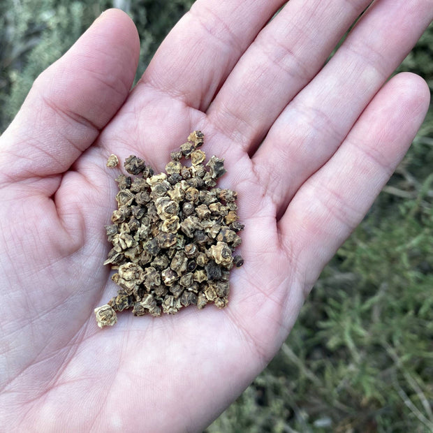 Chard Fireworks Seeds