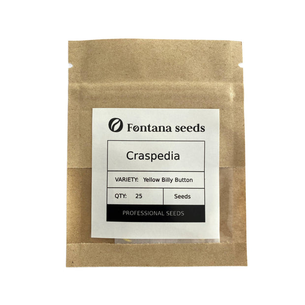 Craspedia Yellow Seeds