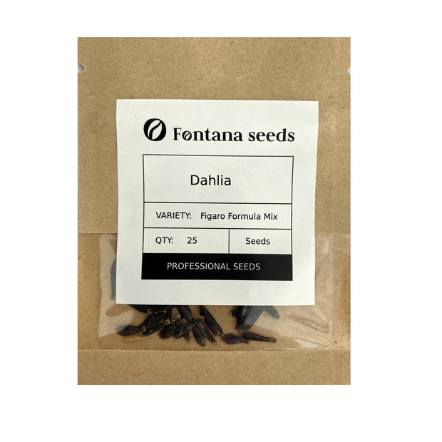 Dahlia Figaro Mix Seeds Pack