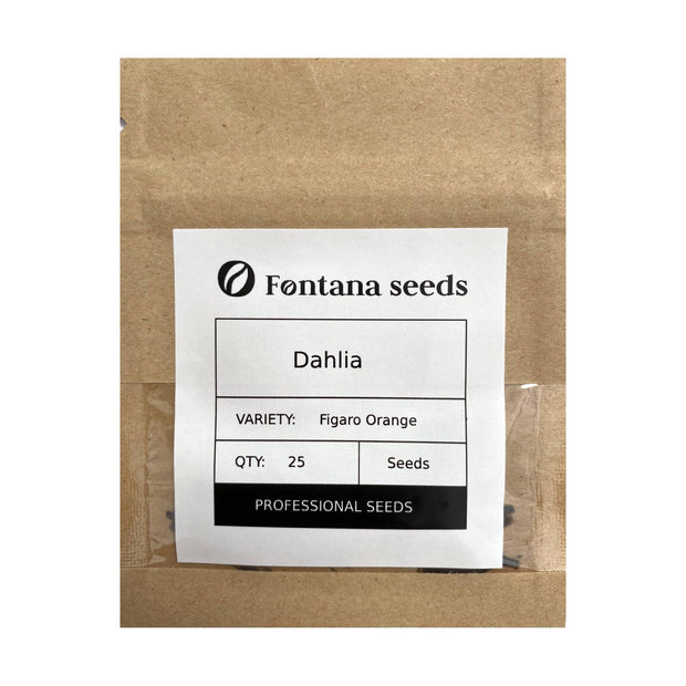 Dahlia Figaro Orange Seeds Pack
