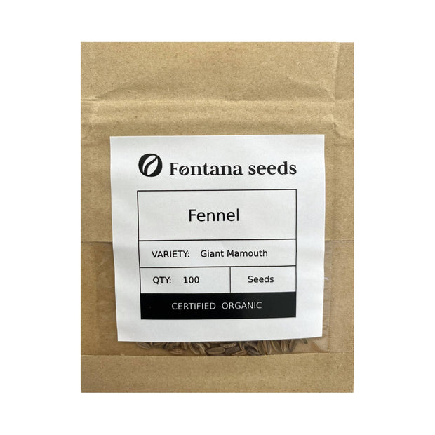 Fennel Giant Mamouth Seeds Bio