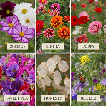 Flower Seed Best Seller Collection 2026