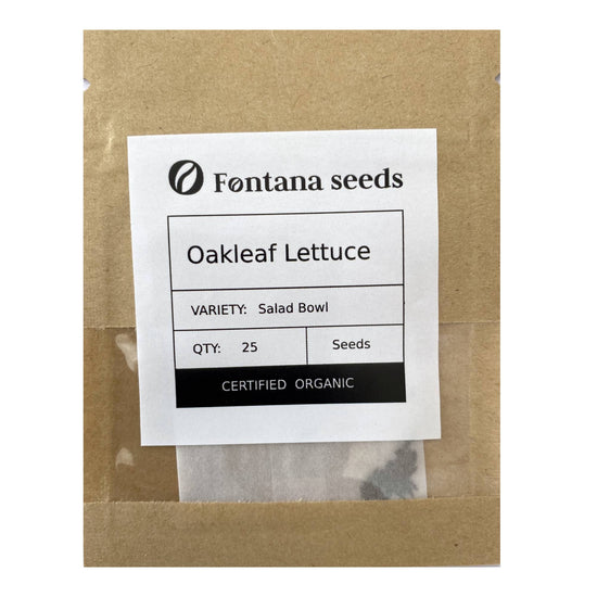 Lettuce Salad Bowl Seeds Bio