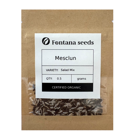 Organic Mesclun Seeds Salad Leaves
