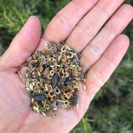 Organic Flower Mix Seeds