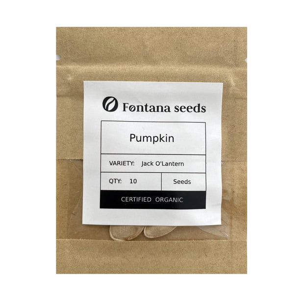 Pumpkin Seeds Organic