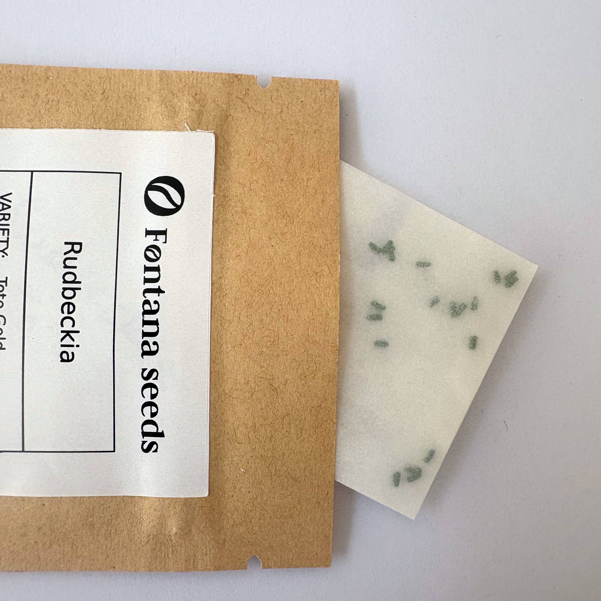 Fontana Seeds rudbeckia seed packet with a small sample of seeds on a white background