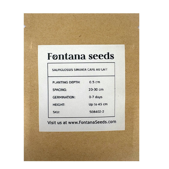 Salpiglossis Sinuata Cafe au Lait