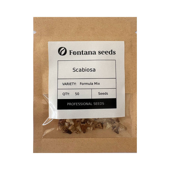 Scabiosa Mix Color Seeds