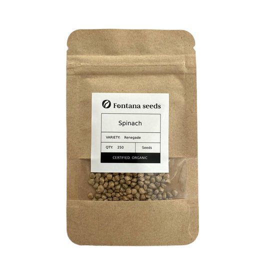 Spinach Renegade Seeds Bio