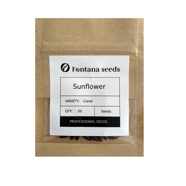 Grow Sunflowers Claret from Seed