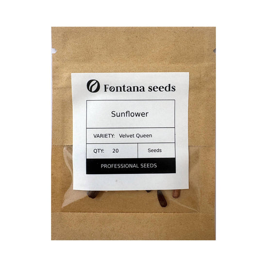Sunflower Velvet Queen Seeds