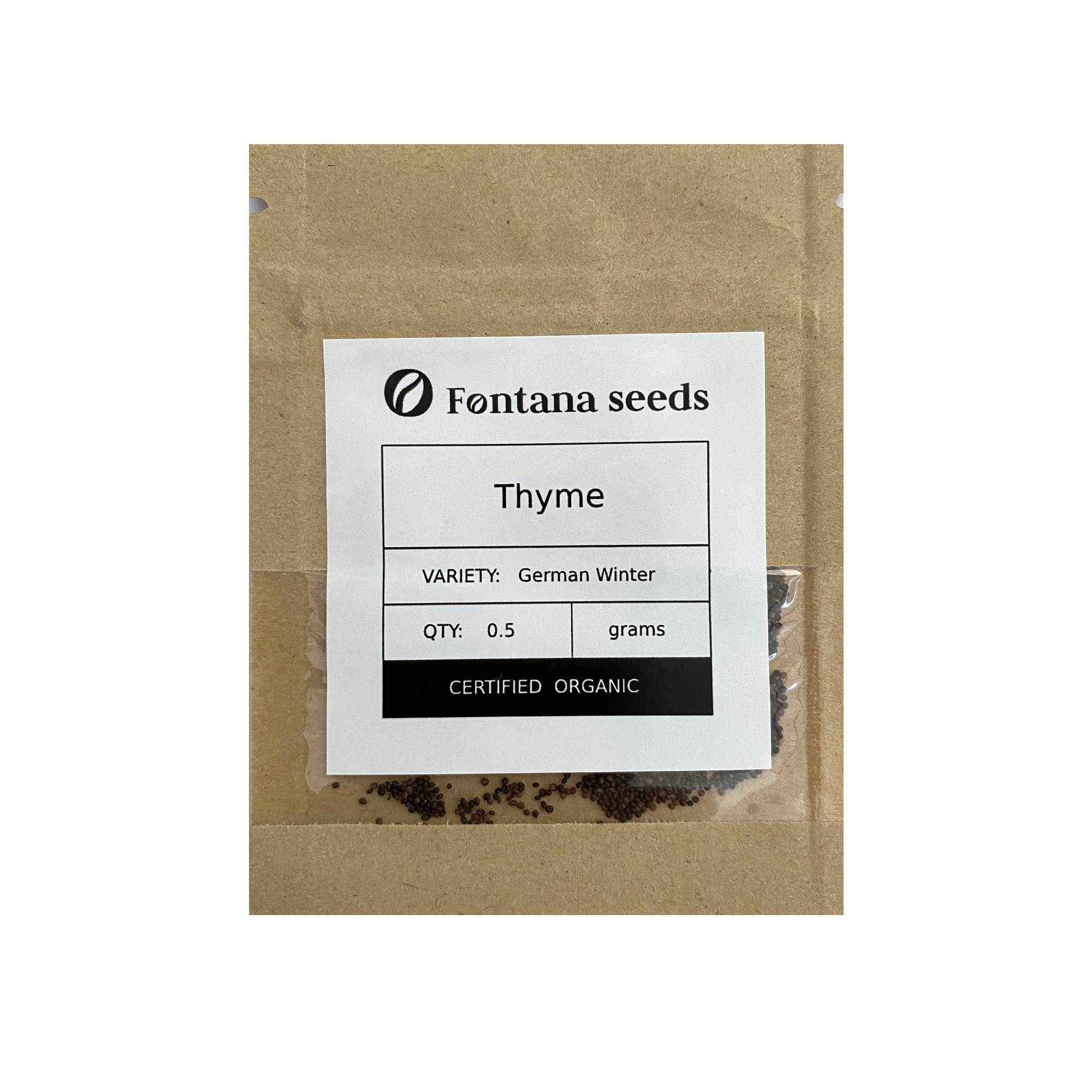 500+ Common Thyme Seeds – Thymus Vulgaris, Organic, Non-GMO, USA Grown, Perennial Herb