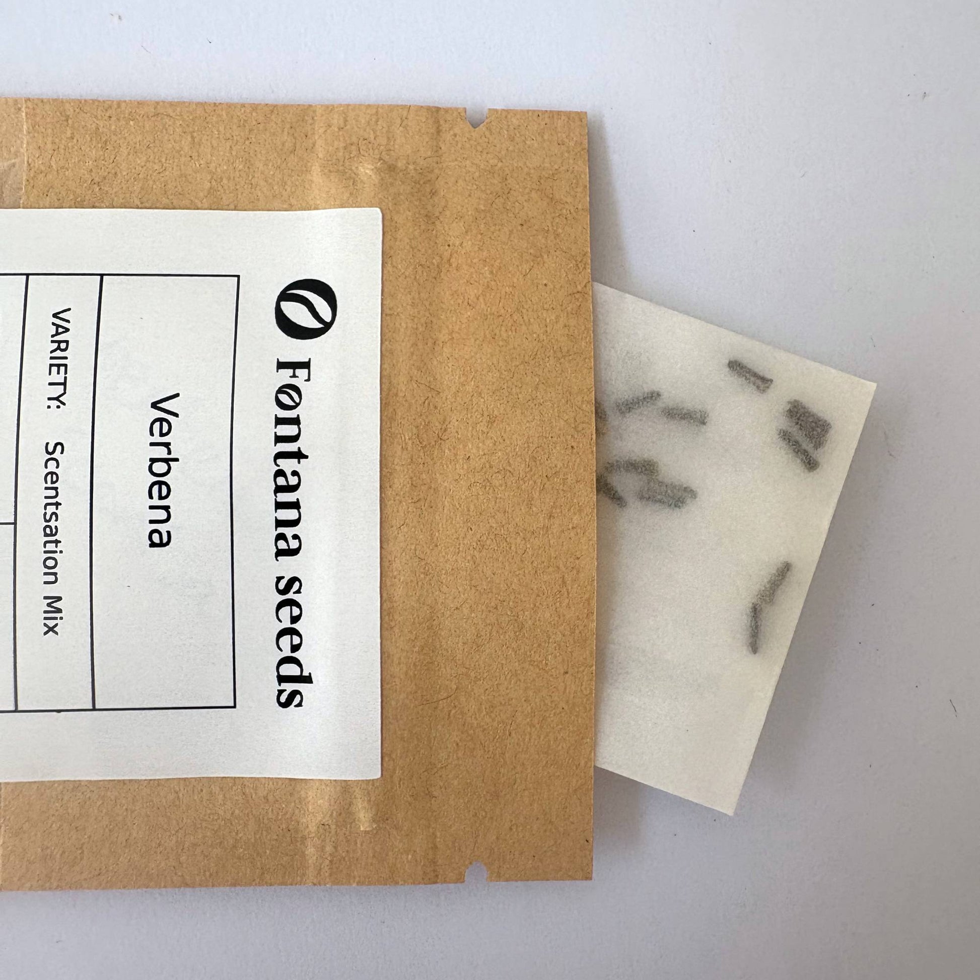 Fontana Seeds verbena seed packet on a white background
