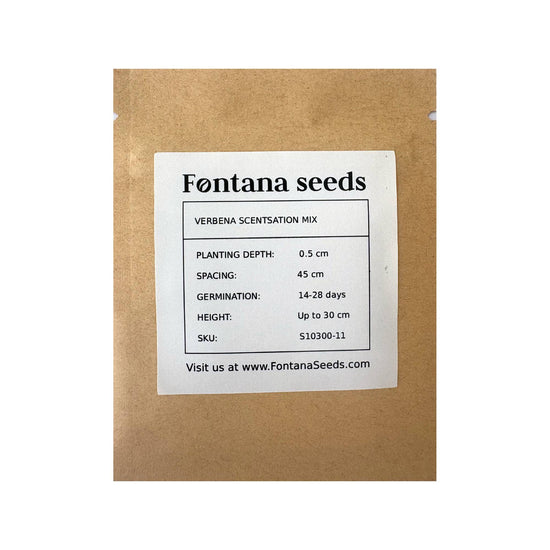 Verbena Seeds