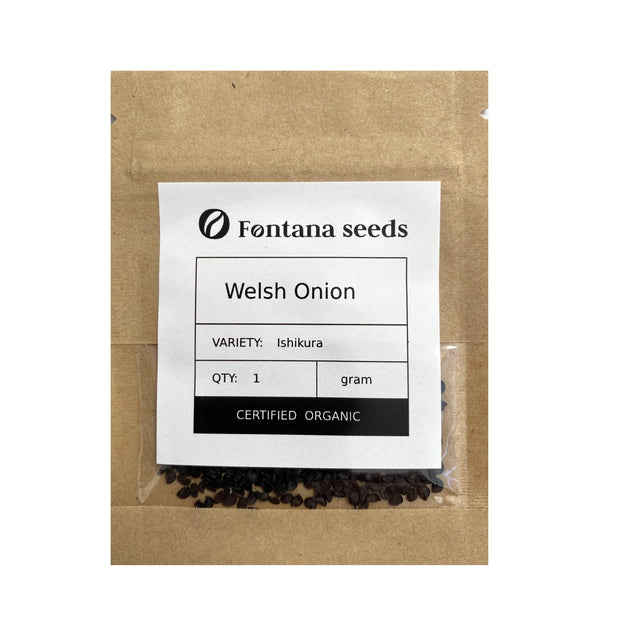 Welsh Onion Ishikura Seeds Bio