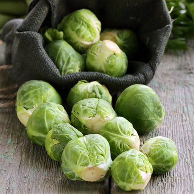 Organic Brussel Sprouts Groninger