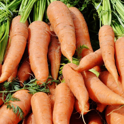 Organic Vegetable Seeds