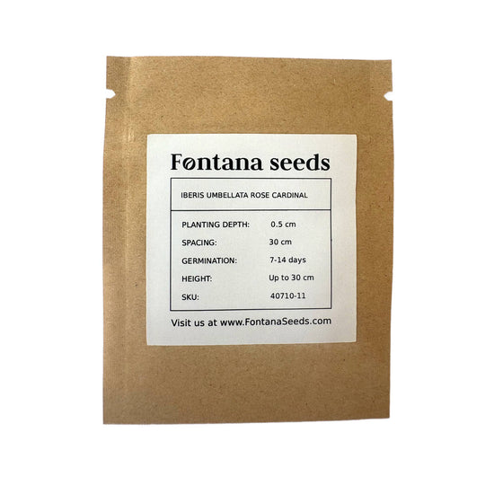 Iberis Umbellata Rose Cardinal Seeds