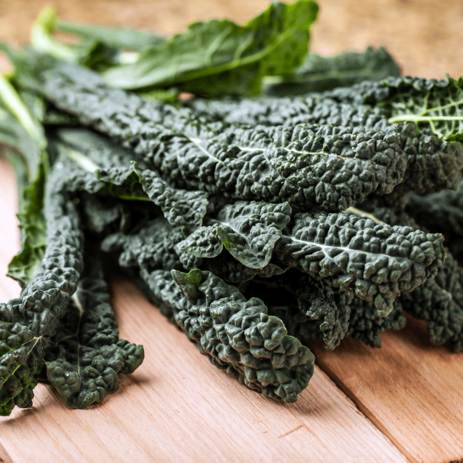 Organic Vegetable Seeds