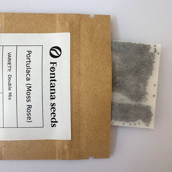 Portulaca (Moss Rose) Double Mix Seeds