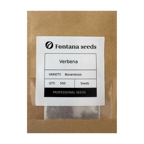 Verbena Bonariensis seeds