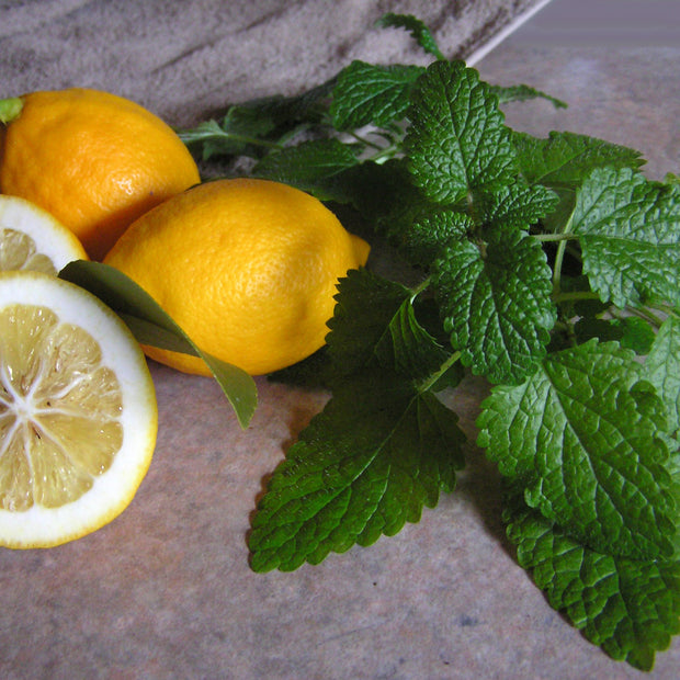 Lemons and Lemon Balm Herbs